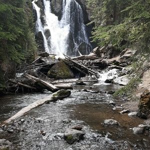 Meet your Posher, Jessie